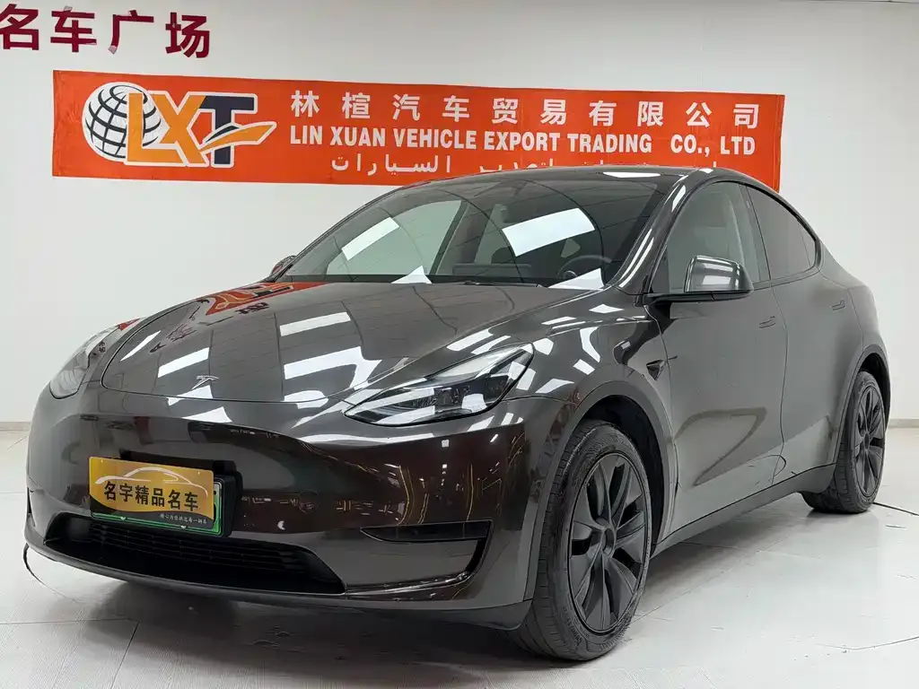 Tesla Model Y — фото 1