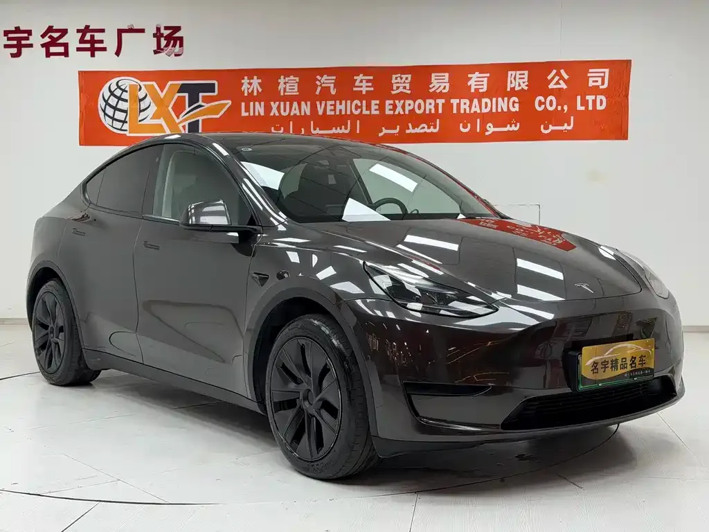 Tesla Model Y — фото 8
