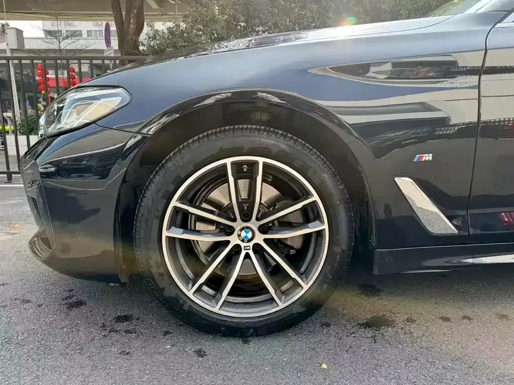 BMW 5 Series 2023 из CN, фото 7