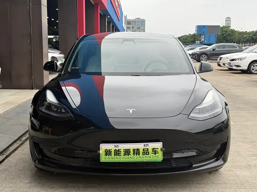 Tesla Model 3 2021 из CN, фото 9