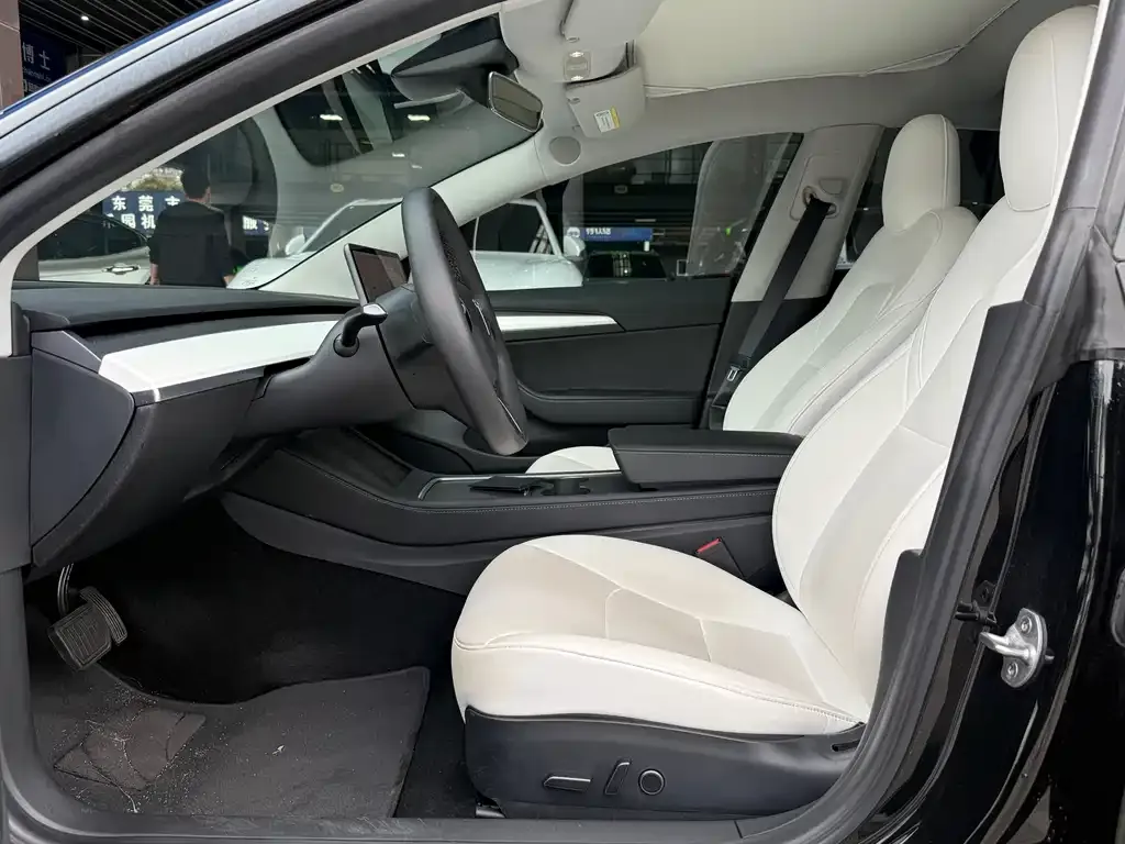 Tesla Model 3 2021 из CN, фото 4