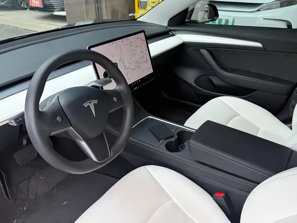 Tesla Model 3 2021 из CN, фото 7
