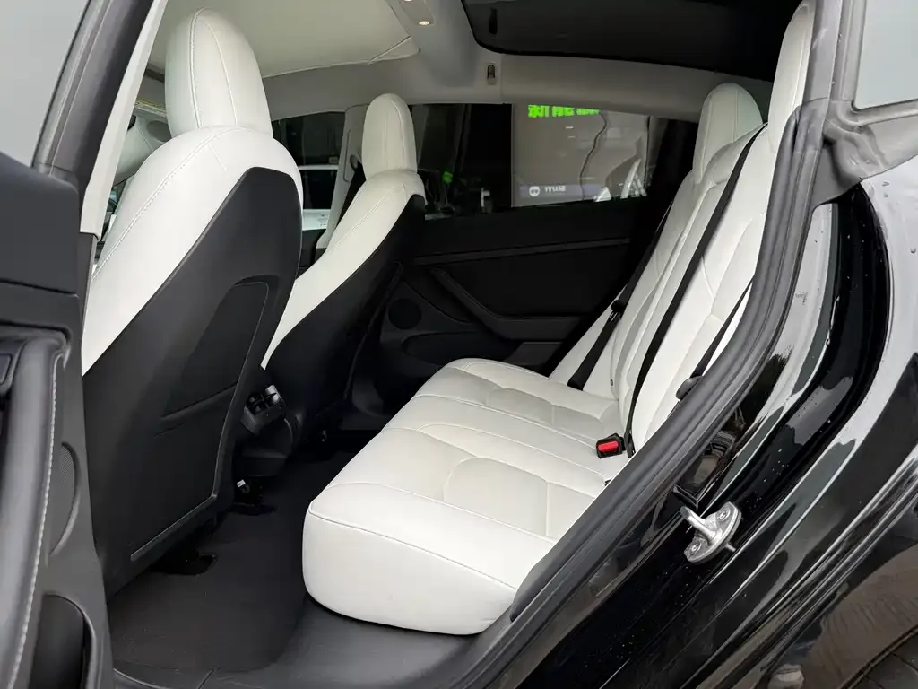 Tesla Model 3 2021 из CN, фото 5
