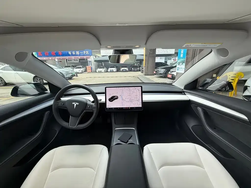 Tesla Model 3 2021 из CN, фото 2