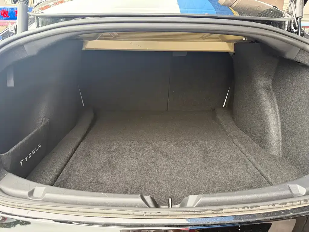 Tesla Model 3 2021 из CN, фото 3