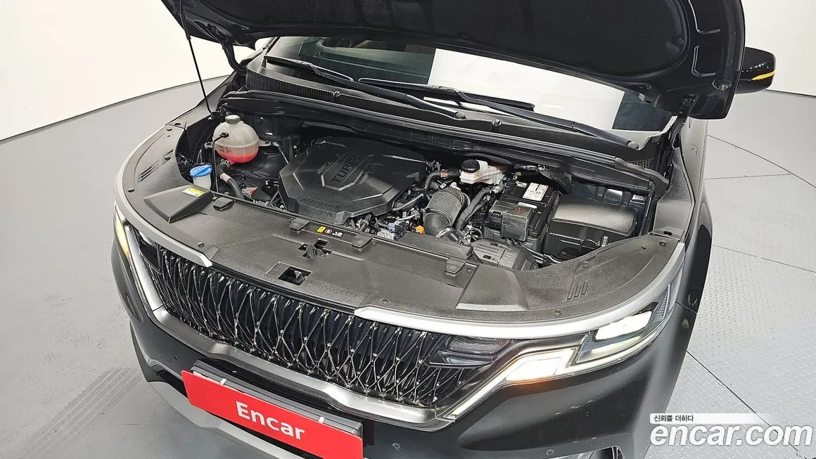 Kia Carnival — фото 10