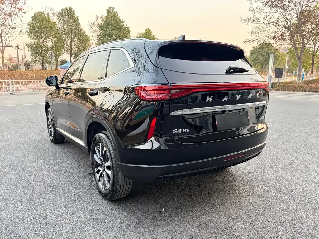 Haval H6 2023 из CN, фото 4