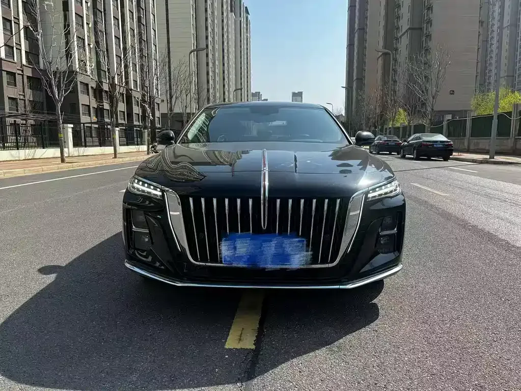 Hongqi H5 2024 из CN, фото 9