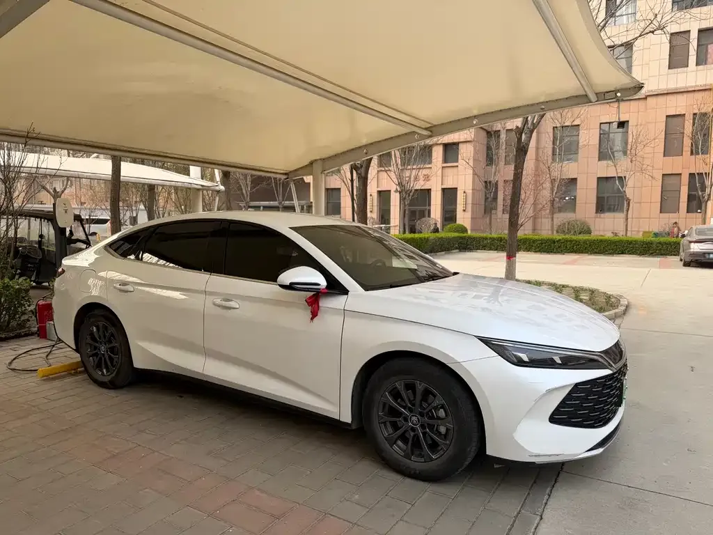 BYD Qin L — фото 3