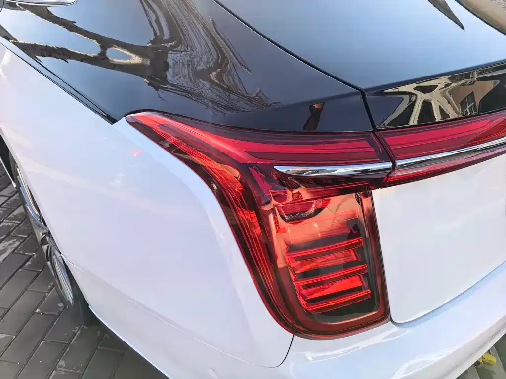 Hongqi H9 2021 из CN, фото 3