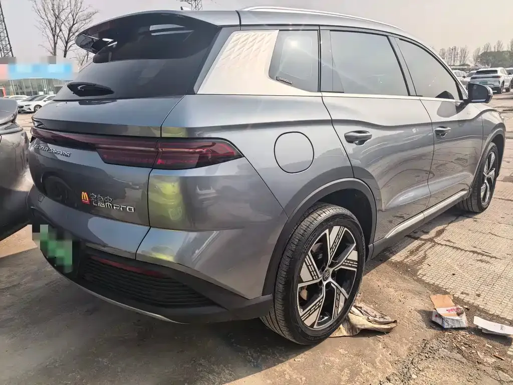 BYD Pro New Energy 2024 из CN, фото 4