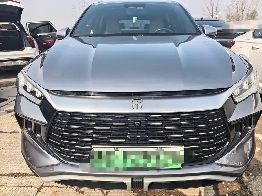 BYD Pro New Energy 2024 из CN, фото 3