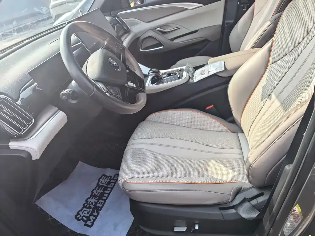 BYD Pro New Energy 2024 из CN, фото 8