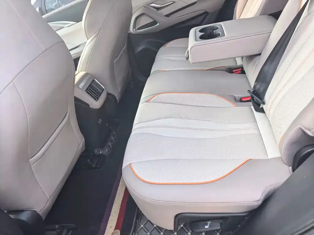 BYD Pro New Energy 2024 из CN, фото 7