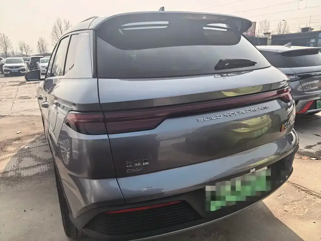 BYD Pro New Energy 2024 из CN, фото 10