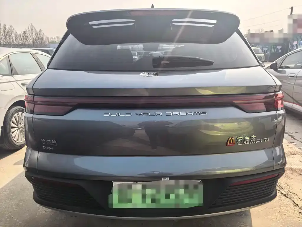 BYD Pro New Energy 2024 из CN, фото 2