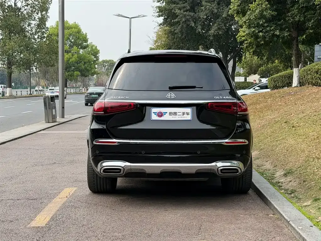 Mercedes-Benz GLS 2023 из CN, фото 7