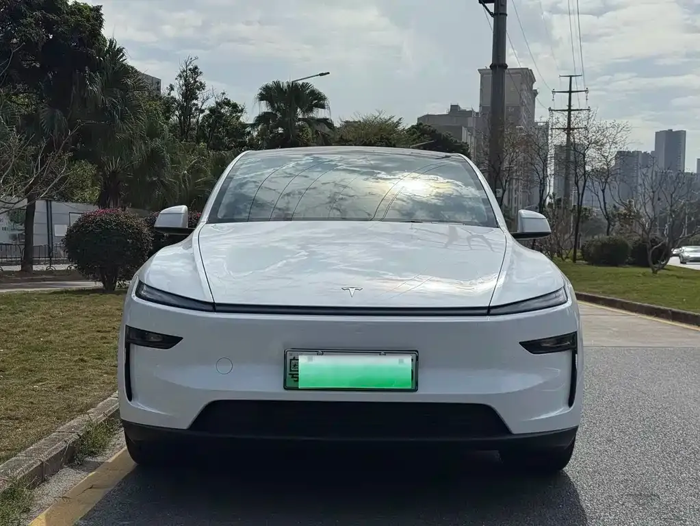 Tesla Model Y 2025 из CN, фото 1