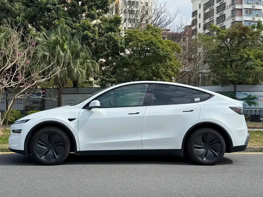Tesla Model Y 2025 из CN, фото 9