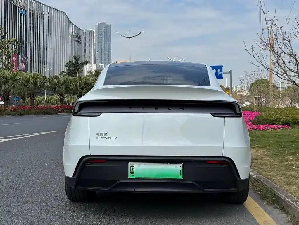 Tesla Model Y 2025 из CN, фото 8