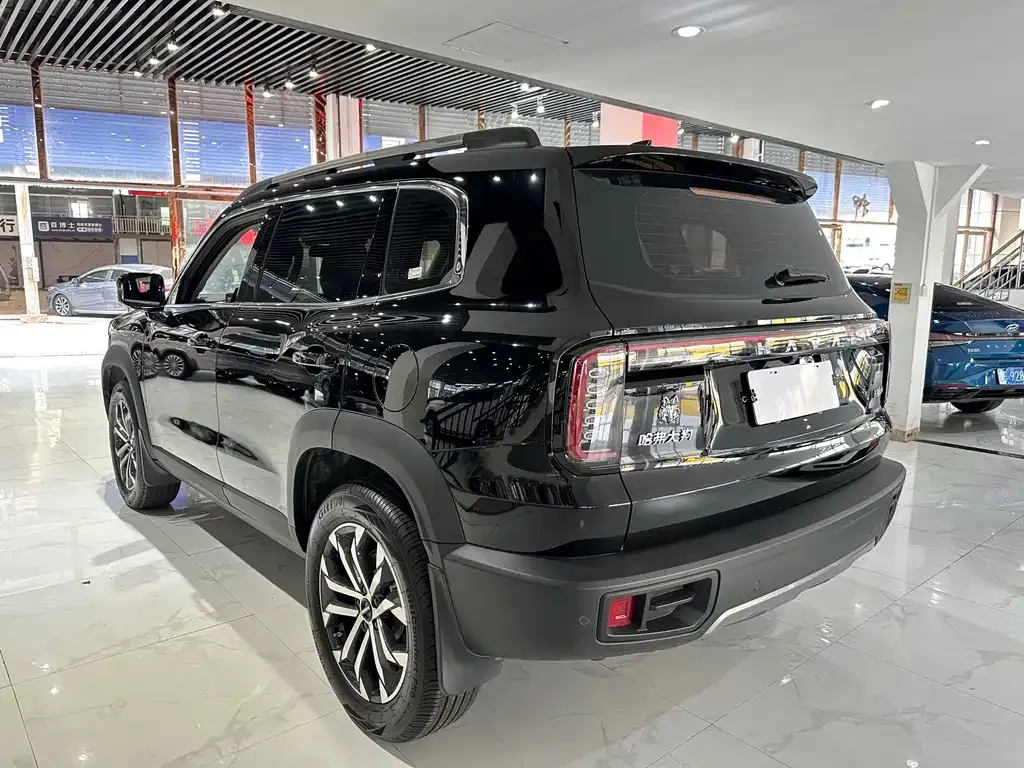Haval Big Dog 2025 из CN, фото 3