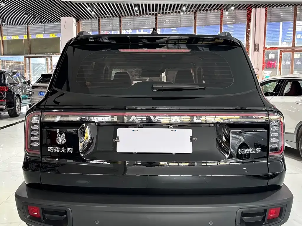Haval Big Dog 2025 из CN, фото 5