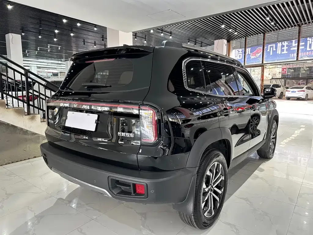 Haval Big Dog 2025 из CN, фото 6