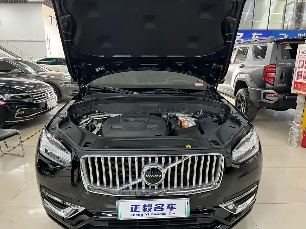Volvo XC90 PHEV 2022 из CN, фото 10