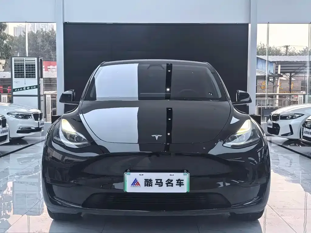 Tesla Model Y — фото 5