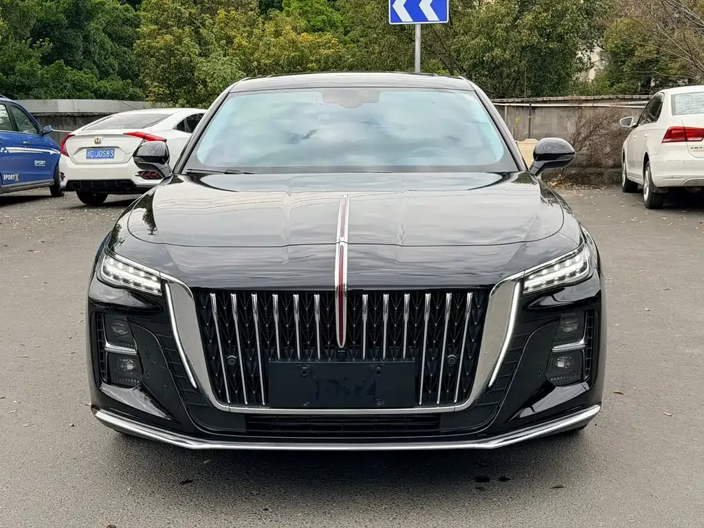 Hongqi H5 2024 из CN, фото 1
