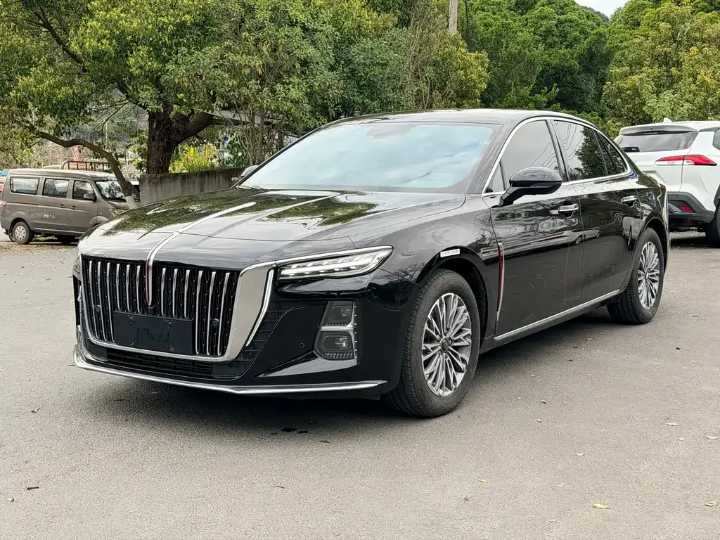 Hongqi H5 2024 из CN, фото 8