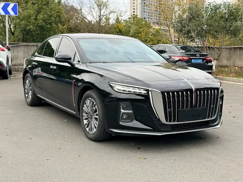 Hongqi H5 2024 из CN, фото 9