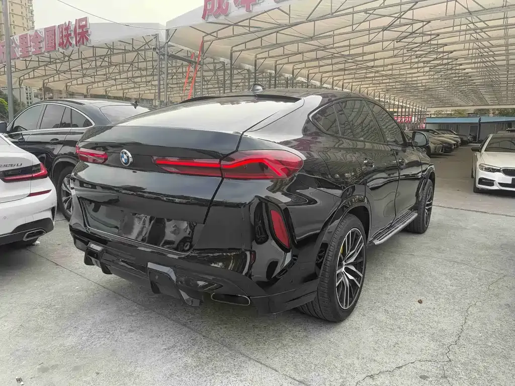 BMW X6 2021 из CN, фото 9