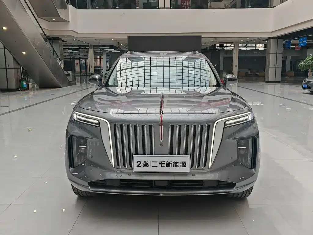 Hongqi E-HS9 — фото 2