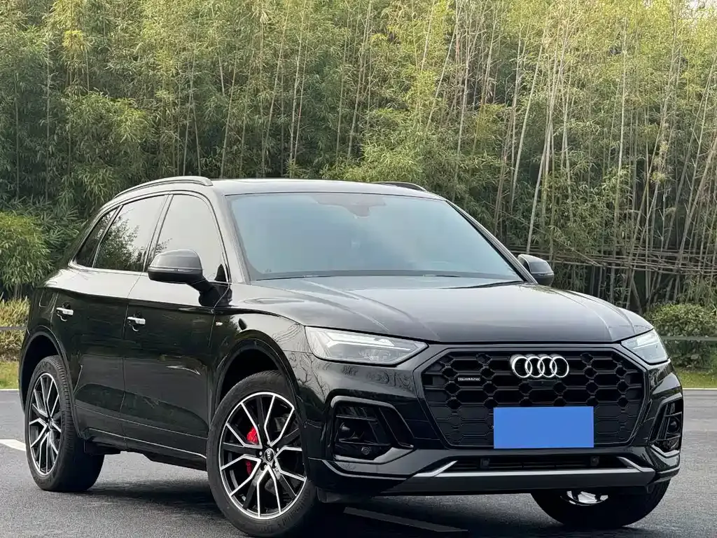 Audi Q5L 2025 из CN, фото 7