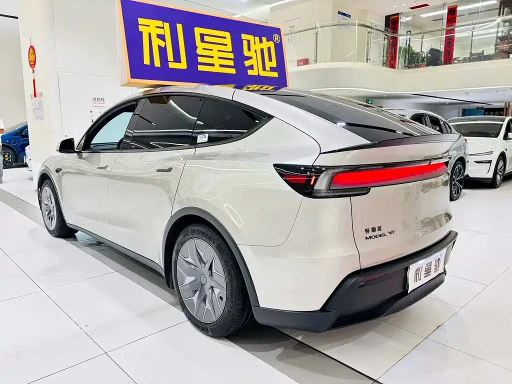 Tesla Model Y L 2025 из CN, фото 6