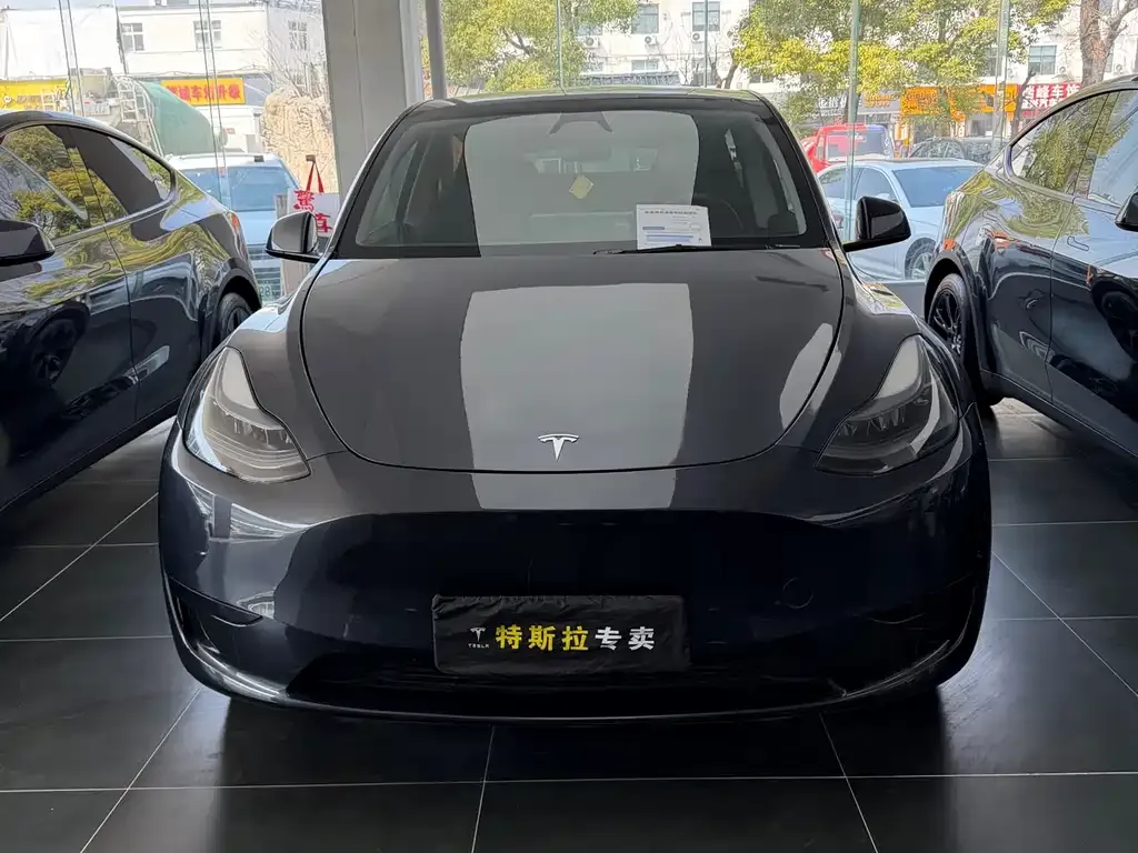 Tesla Model Y — фото 2