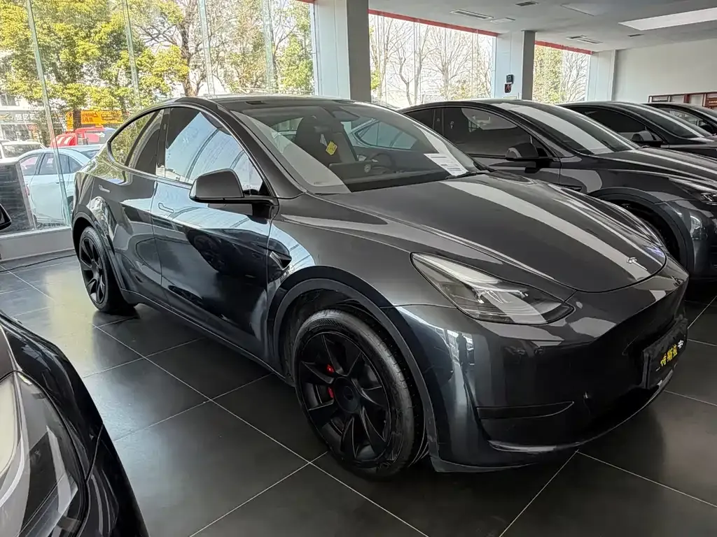 Tesla Model Y — фото 10