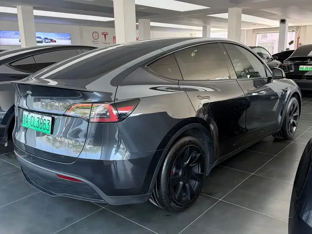 Tesla Model Y — фото 3