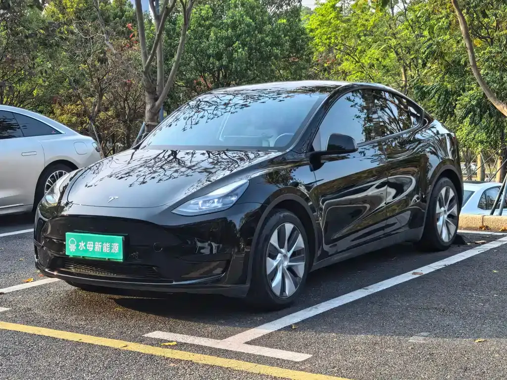 Tesla Model Y — фото 1