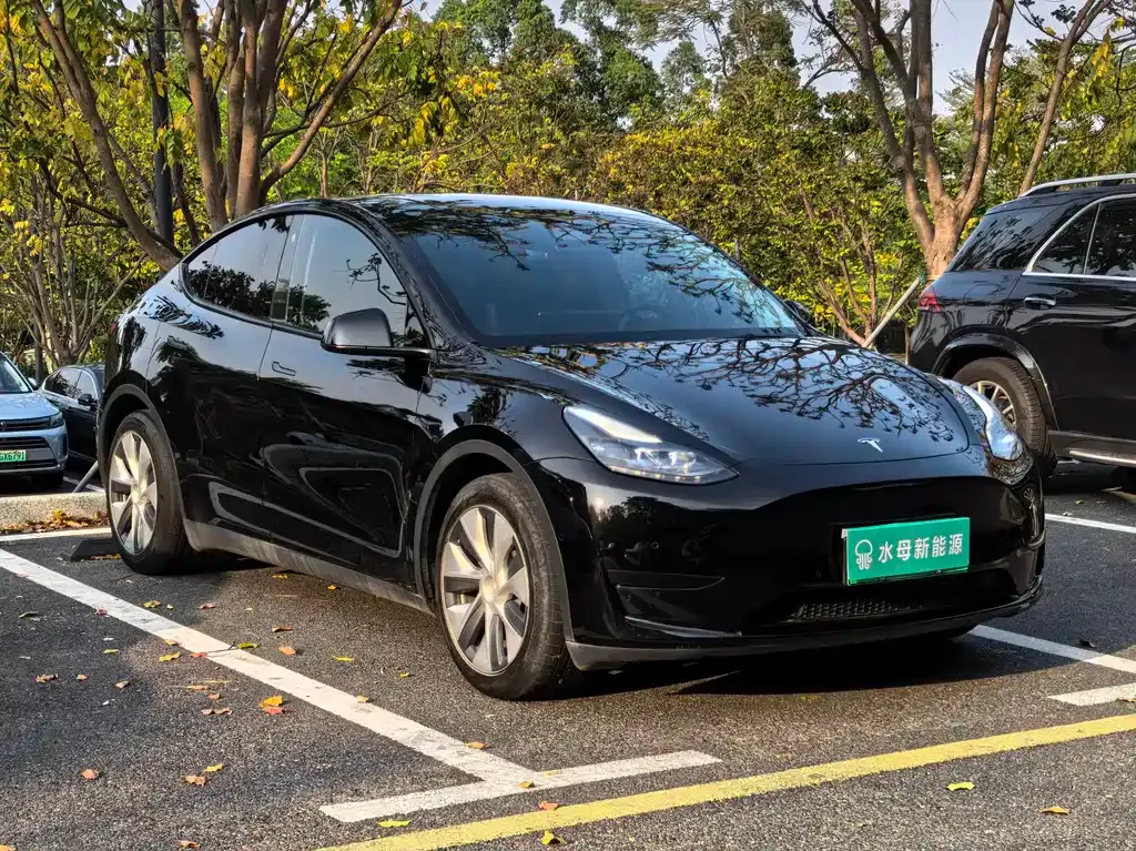 Tesla Model Y — фото 9