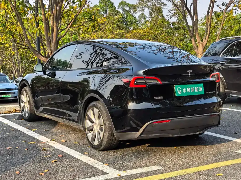Tesla Model Y — фото 5