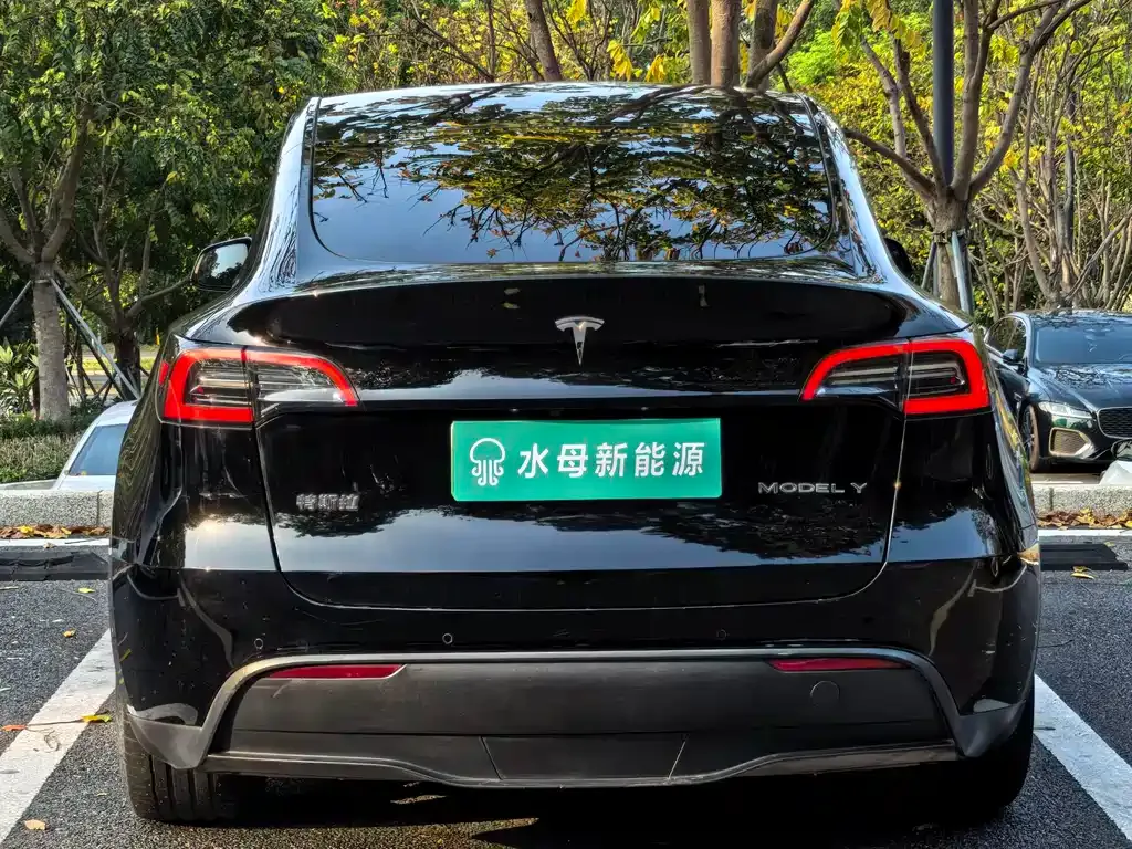 Tesla Model Y — фото 6