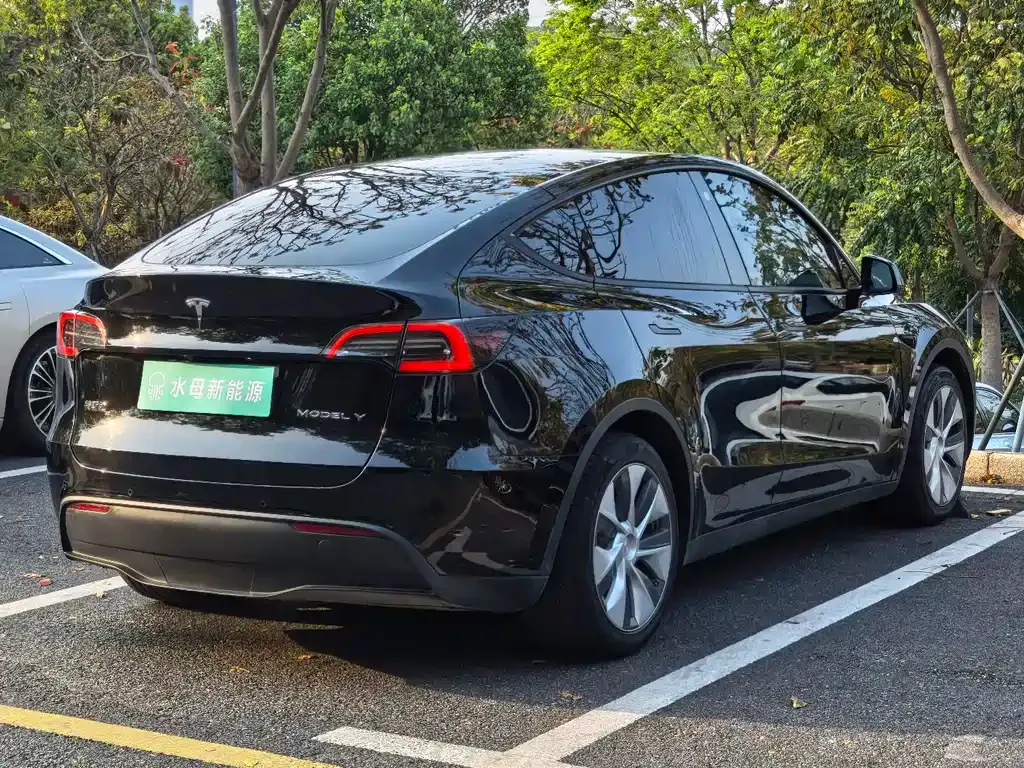 Tesla Model Y — фото 8