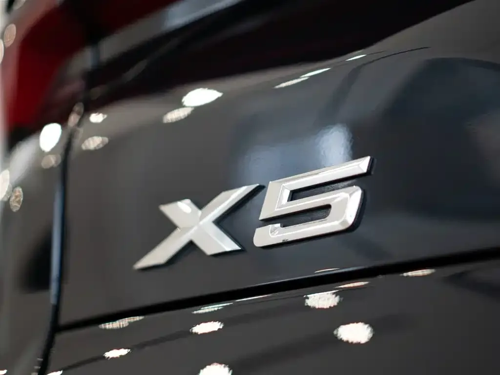 BMW X5 2024 из CN, фото 2