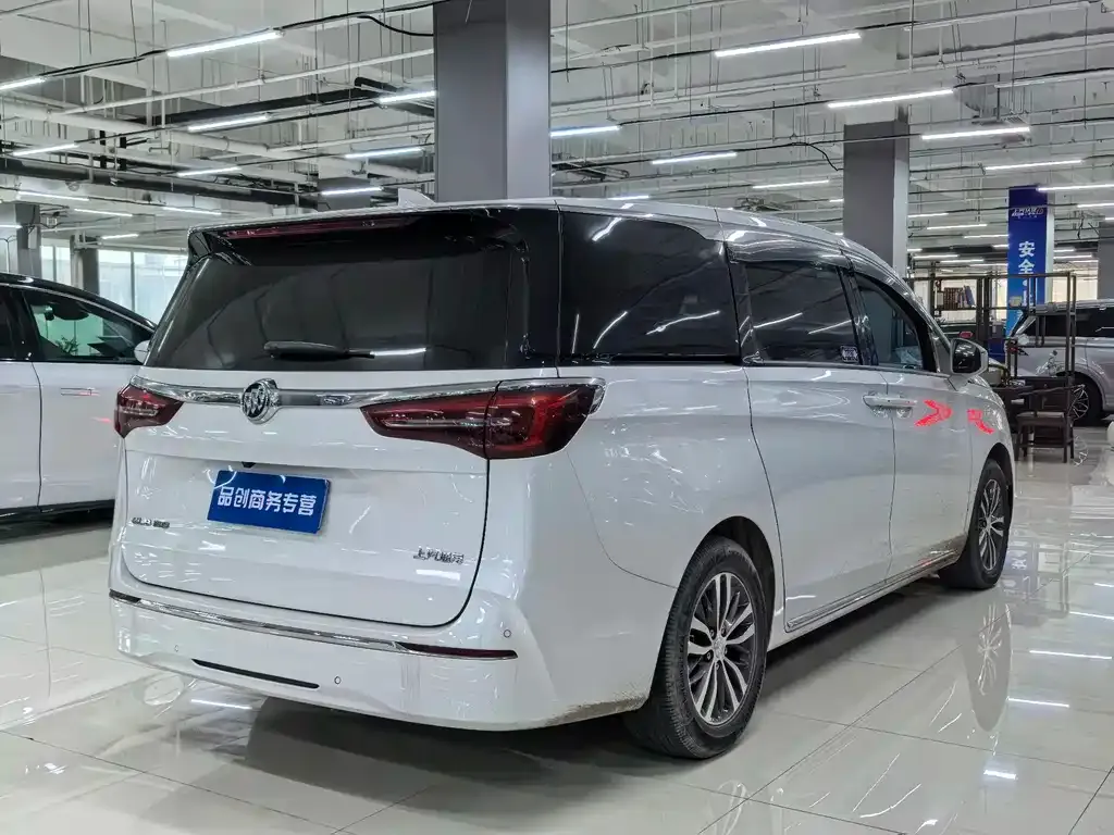 Buick GL8 2023 из CN, фото 10