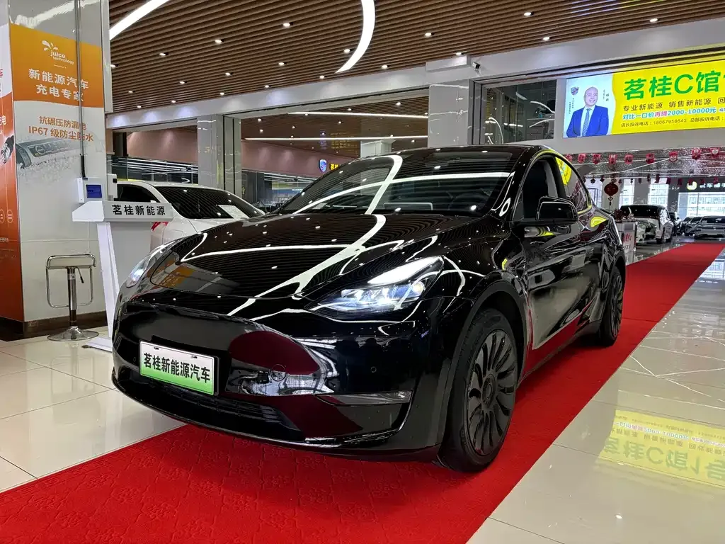 Tesla Model Y — фото 1