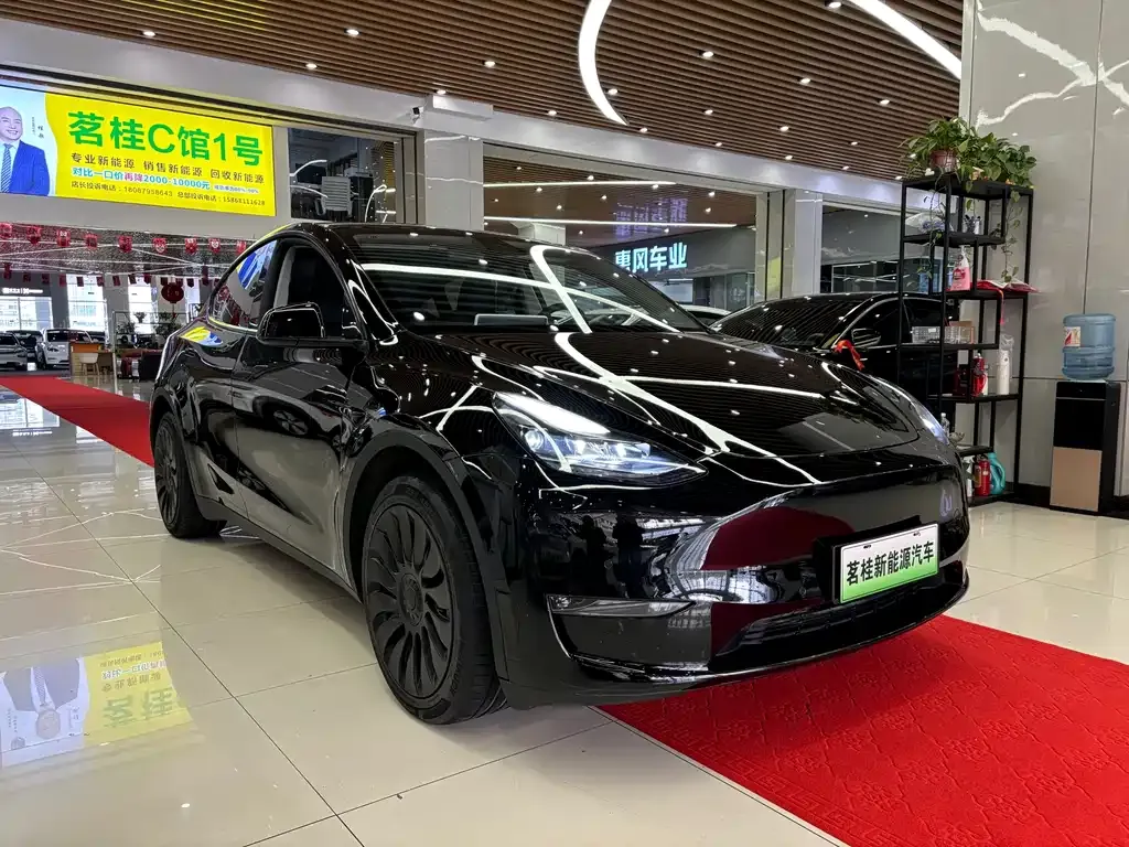 Tesla Model Y — фото 10
