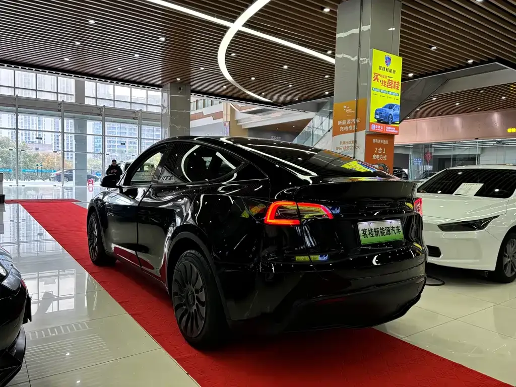 Tesla Model Y — фото 9