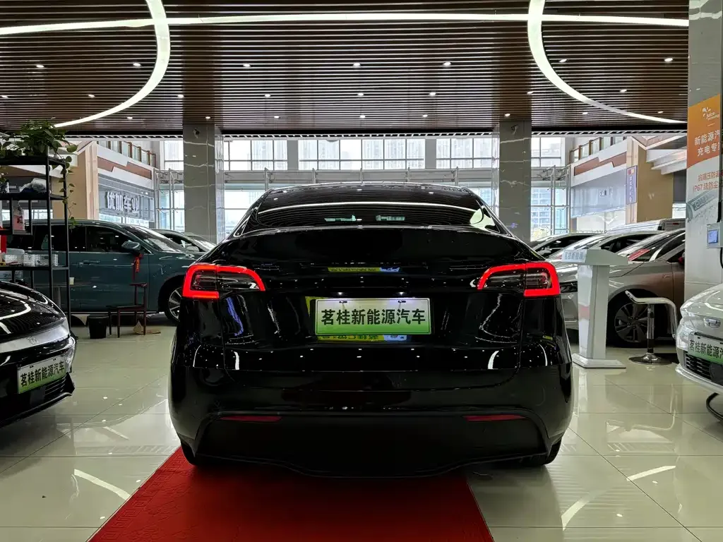 Tesla Model Y — фото 3